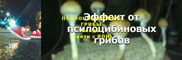 спайс Алзамай