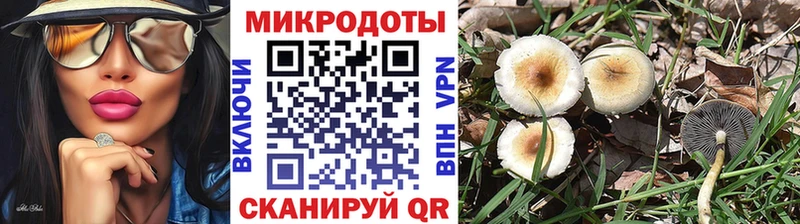 Псилоцибиновые грибы Psilocybine cubensis  как найти наркотики  Лебедянь 